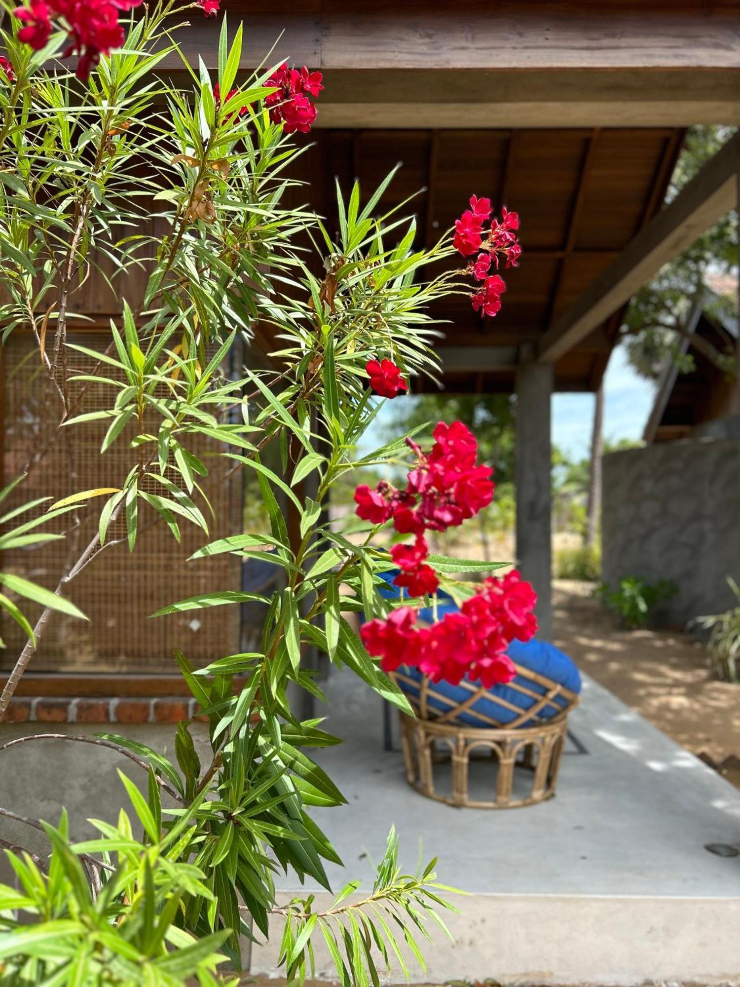 Arasi Resort Kalpitiya Eksteriør bilde